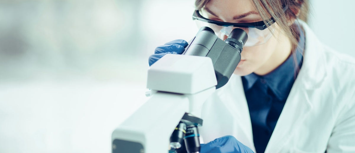 About Us | 8LABS CBD